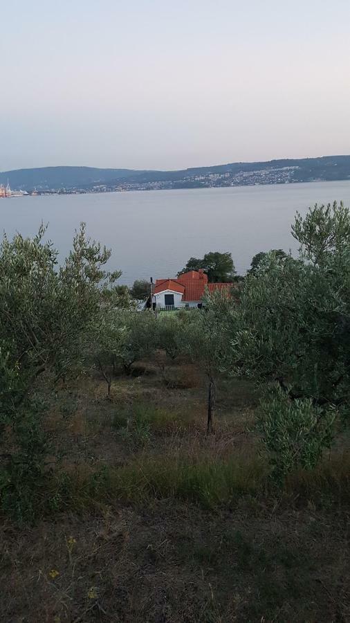 Sea View Apartments Debeli Rtic Анкаран Екстериор снимка